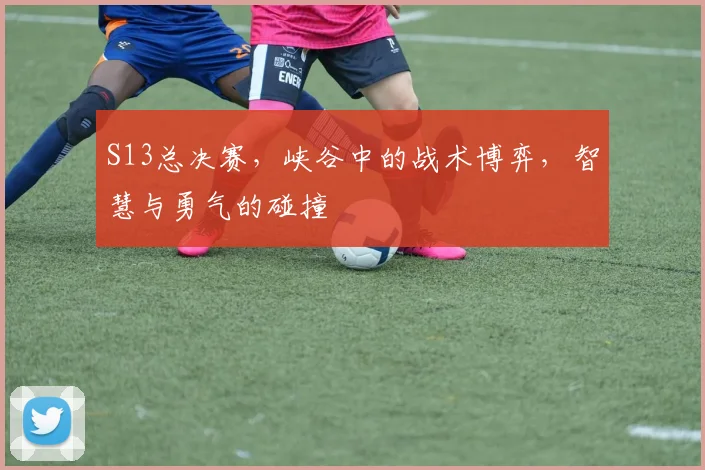 S13总决赛，峡谷中的战术博弈，智慧与勇气的碰撞