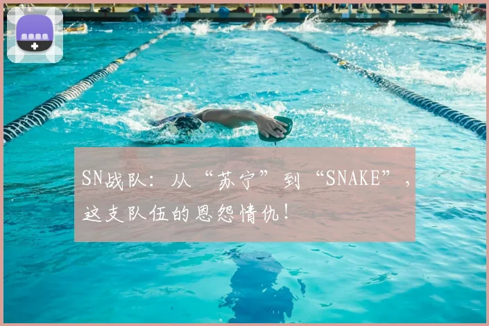 SN战队：从“苏宁”到“SNAKE”，这支队伍的恩怨情仇！